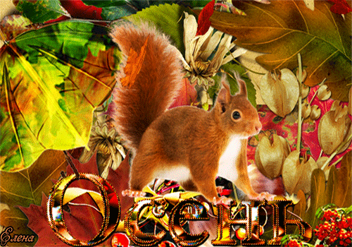 Оригинальные открытки с изображением осени. Открытки осень скачать бесплатно.