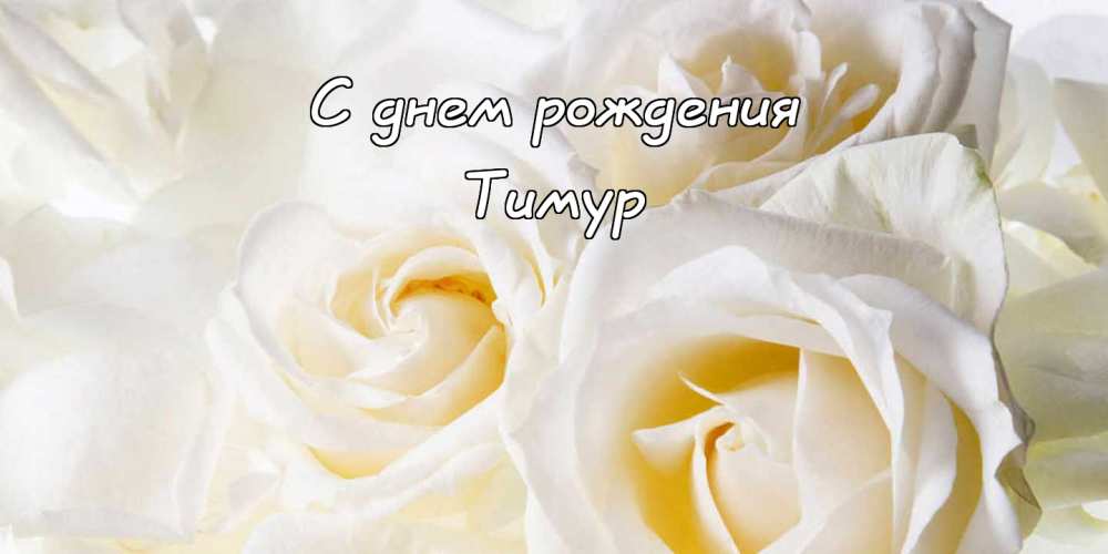 Открытки с именем Тима. С днём рождения Тимур открытки. Поздравительные Откры...