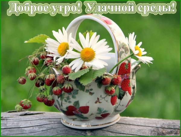 Открытки с пожеланиями отличной среды. Красивые открытки на среду.