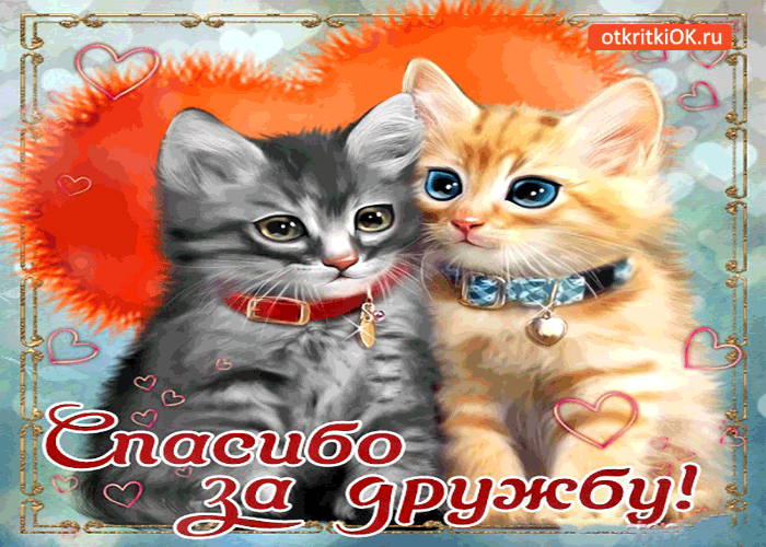 Красивые открытки для любимых друзей. Открытки о дружбе скачать бесплатно.