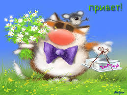 Красивые анимационные открытки с различными приветствиями скачать бесплатно.