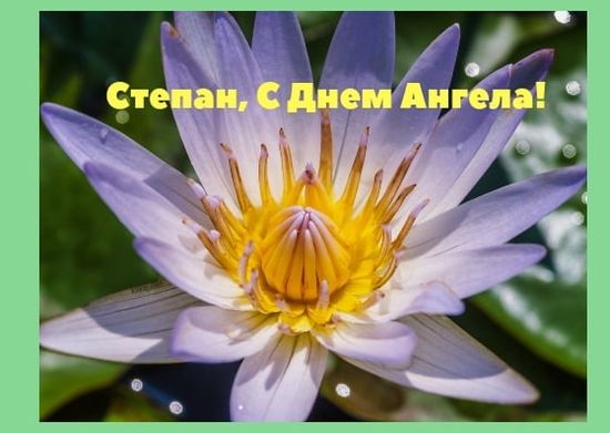 Открытки с мужскими именами. Открытки с именем Степан с поздравлениями. С днё...