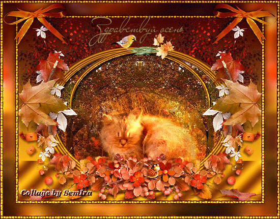 Красивые анимационные открытки на первый день осени скачать бесплатно