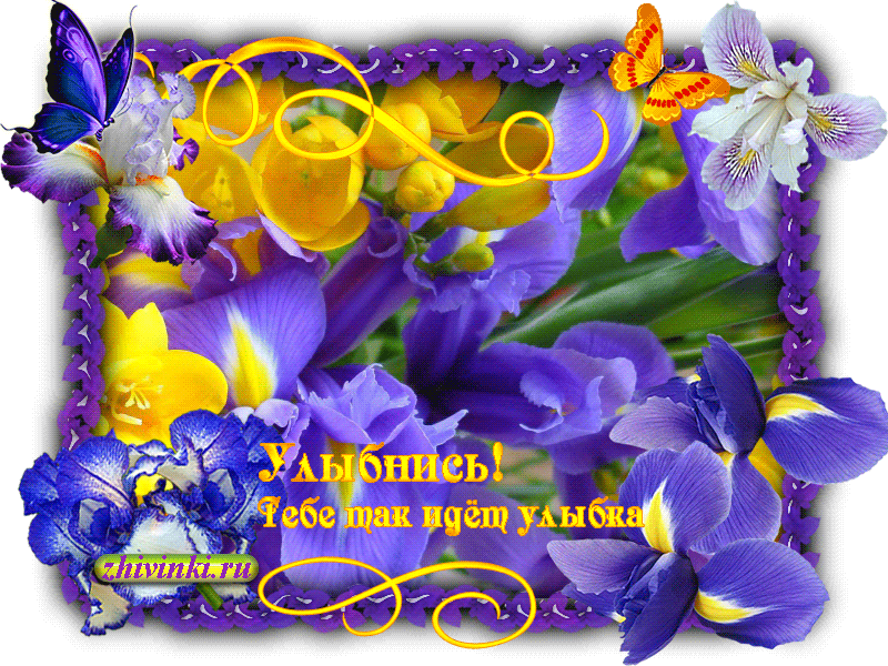 Весёлые открытки с пожеланиями улыбнись. Открытки с улыбкой скачать бесплатно.