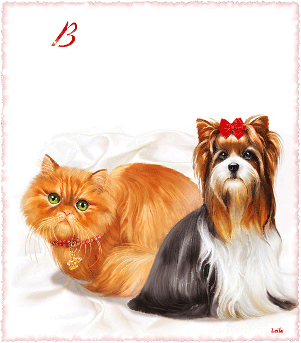 Красивые анимационные открытки с различными приветствиями скачать бесплатно.