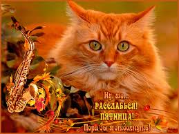 Прикольные открытки на пятницу. Открытки с пожеланиями на пятницу скачать бес...