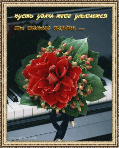 Открытки желаю удачи скачать бесплатно. Красивые открытки с пожеланиями удачи.