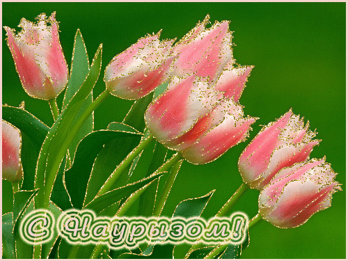 Открытки на Наурыз скачать бесплатно. Поздравительные открытки с Наурызом.