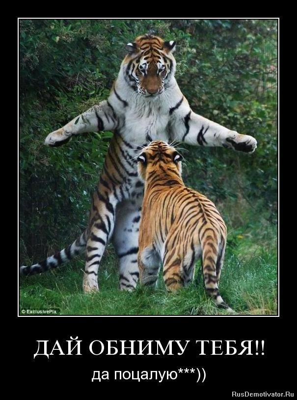 Открытки хочу тебя обнять. Открытки крепко обнимаю скачать бесплатно.