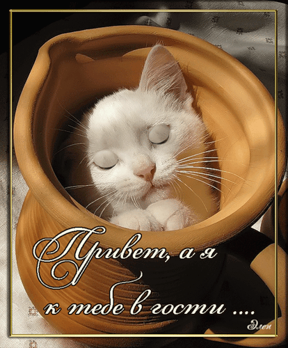 Красивые анимационные открытки с различными приветствиями скачать бесплатно.