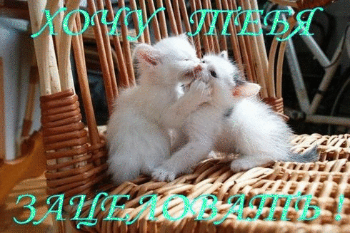 Анимационные открытки хочу к тебе. Мерцающие картинки хочу к тебе.