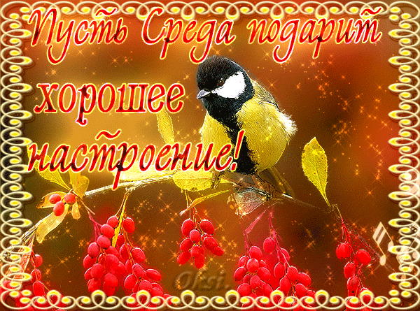 Открытки с пожеланиями отличной среды. Красивые открытки на среду.