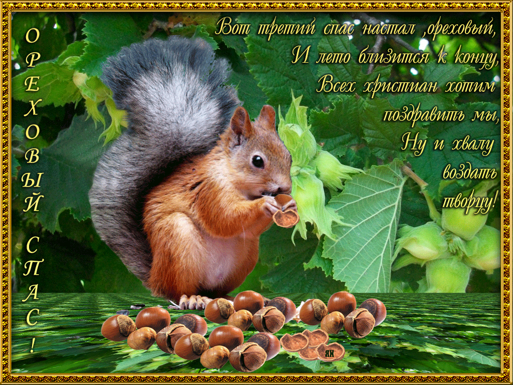 Оригинальные открытки с поздравлениями на Ореховый Спас скачать бесплатно.