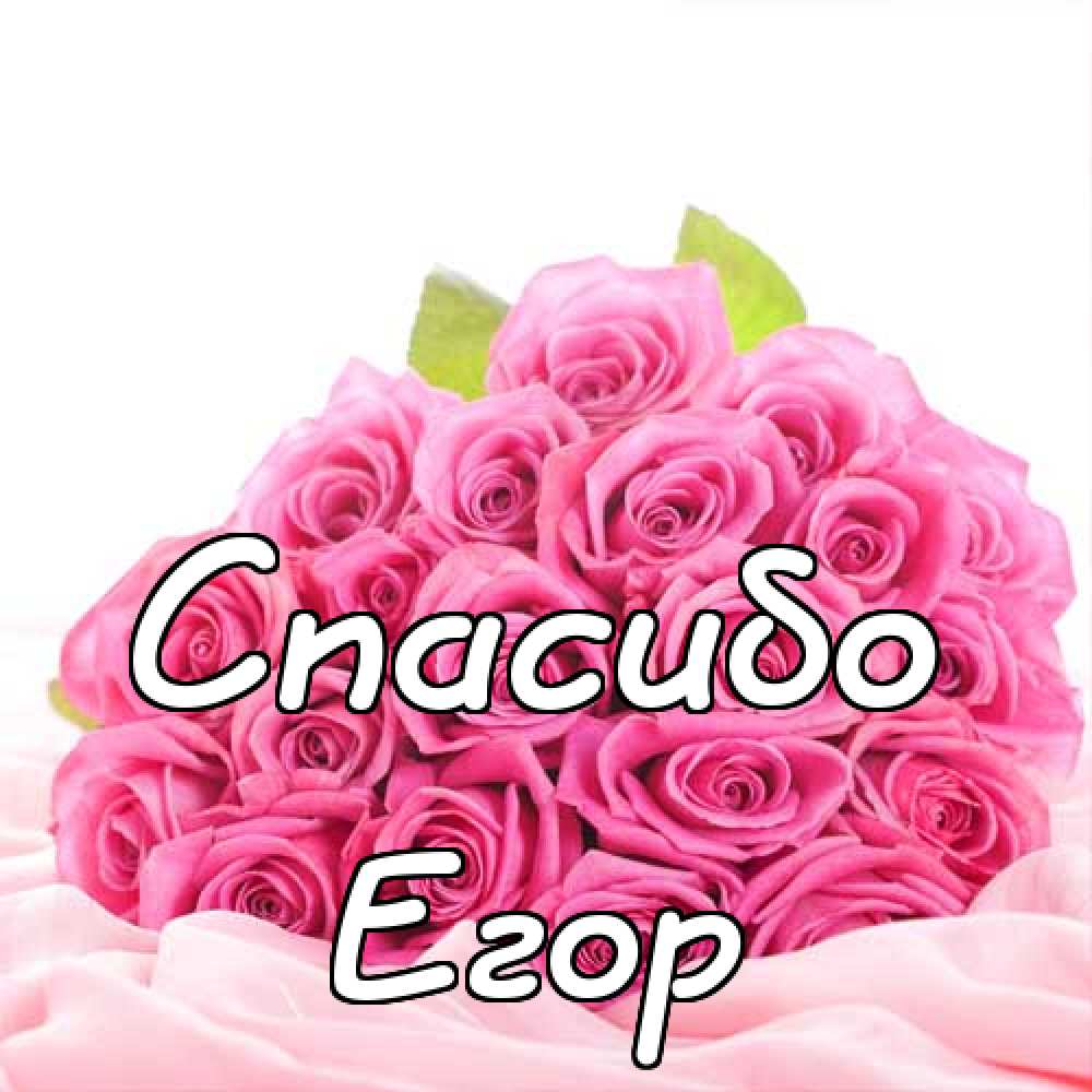 Прикольные открытки с именем Егор. Открытки с именем Егор скачать бесплатно. 