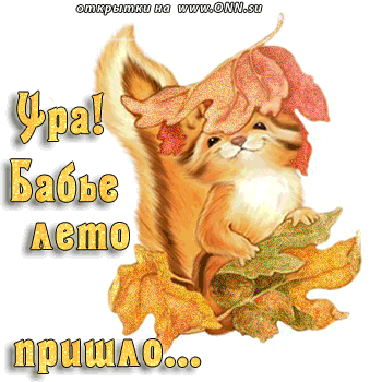 Поздравительные открытки с Бабьим Летом. Анимационные открытки на Бабье Лето. 