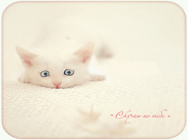 Анимационные открытки скучаю по тебе. Открытки я так скучаю скачать бесплатно.