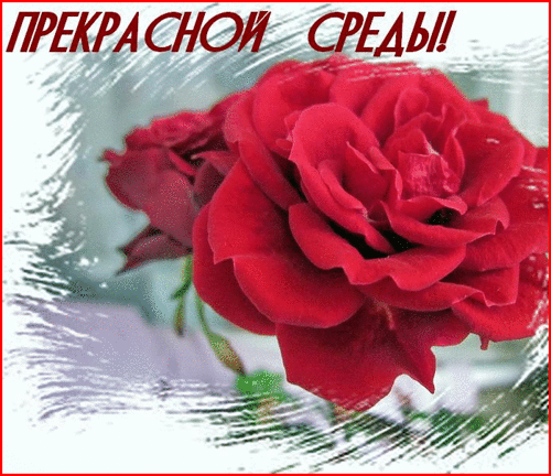 Открытки с пожеланиями отличной среды. Красивые открытки на среду.