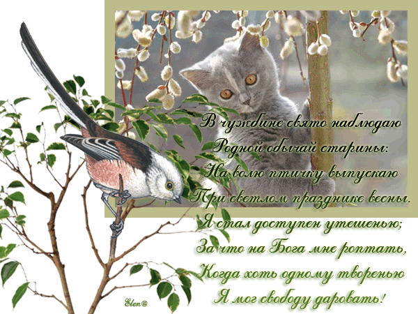 Поздравительные открытки с Вербным Воскресеньем скачать бесплатно.