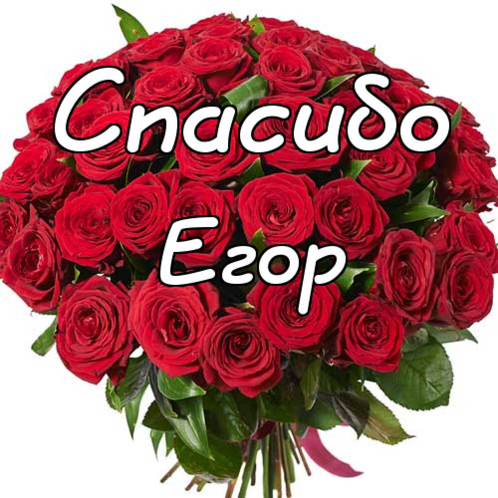 Привет егор прикольные картинки