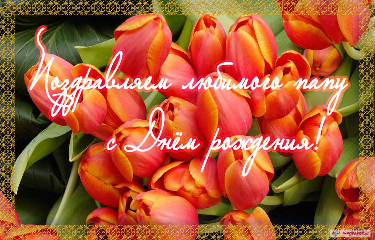 Поздравительные открытки с Днем Рождения папе скачать бесплатно.