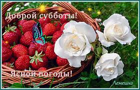 Интересные открытки на субботу. Веселые открытки на выходные.