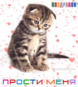 Красивые открытки с извинениями скачать бесплатно. Открытки прости меня gif.