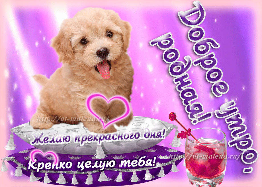 Оригинальные открытки с надписью целую. Открытки с поцелуями на любой вкус.