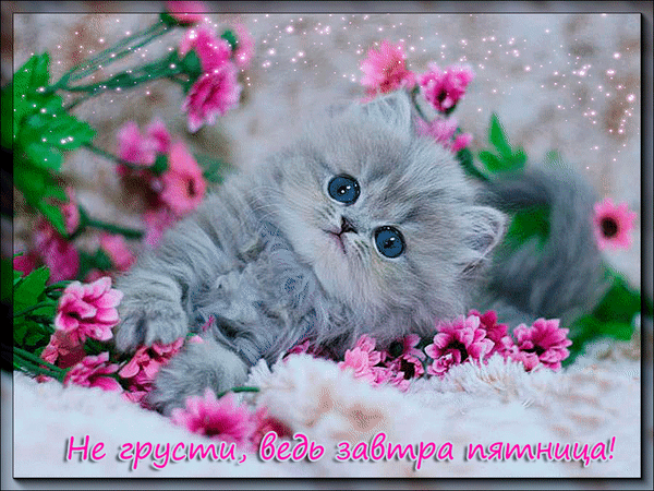 Анимационные открытки доброго утра и отличного четверга скачать бесплатно.