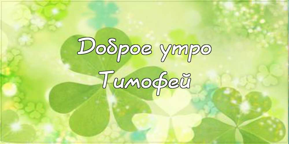 Анимационные открытки с именем Тимофей. Открытки с мужскими именами с поздрав...