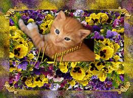 Мерцающие открытки с пожеланиями не грустить. Открытки не грусти скачать бесп...