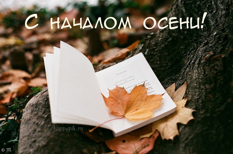 Красивые анимационные открытки на первый день осени скачать бесплатно