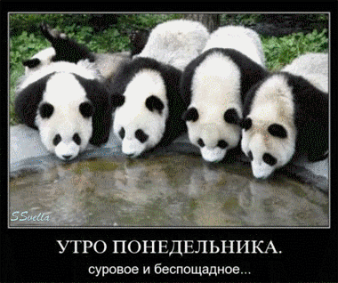 Открытки с наилучшими пожеланиями на понедельник. Открытки на понедельник ска...