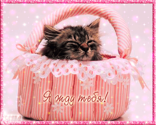 Открытки я жду тебя gif. Открытки возвращайся скорее скачать бесплатно.