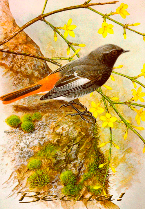 Красивые мерцающие открытки на весеннюю тематику. Скачать бесплатно открытки ...