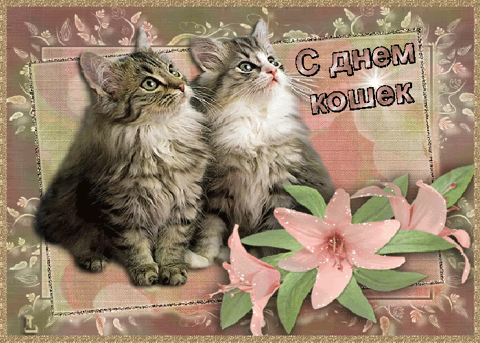 Скачать бесплатно прикольные открытки с днем кошек. Открытки с днем кошек gif.