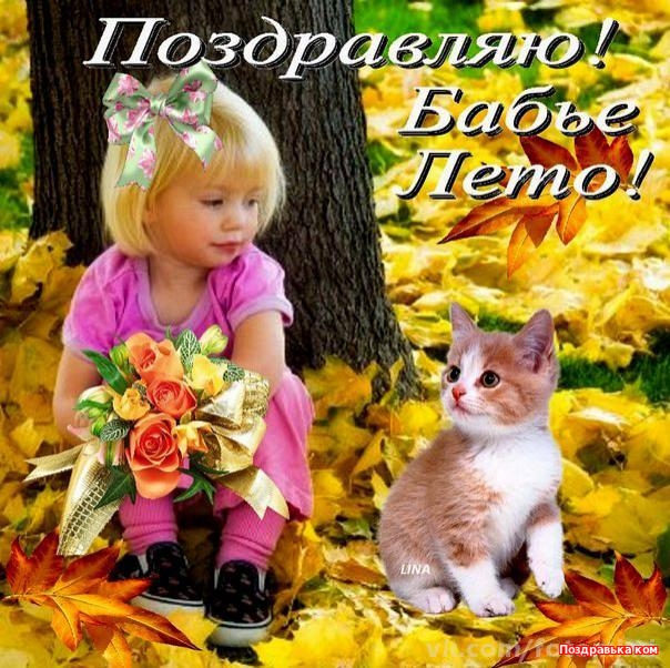 Поздравительные открытки с Бабьим Летом. Анимационные открытки на Бабье Лето. 