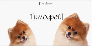 Анимационные открытки с именем Тимофей. Открытки с мужскими именами с поздрав...