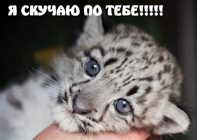 Анимационные открытки скучаю по тебе. Открытки я так скучаю скачать бесплатно.