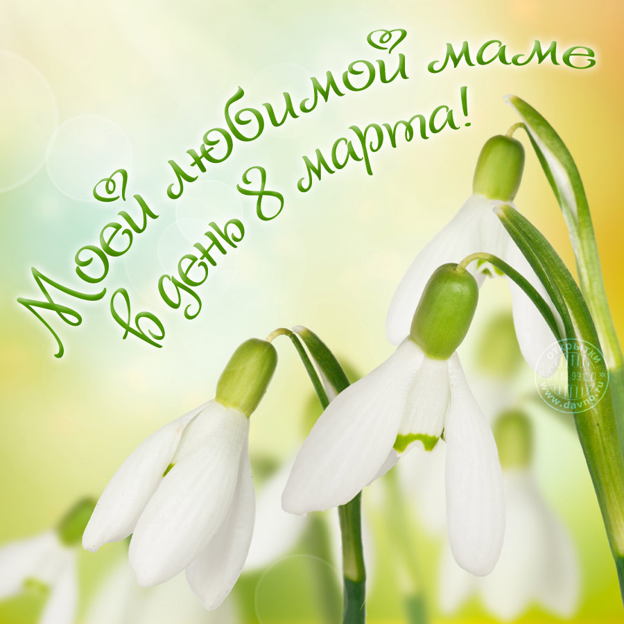 Открытки на 8 марта скачать бесплатно. Открытки с Международным Женским днём.