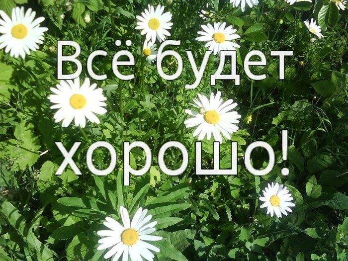 Веселые открытки с пожеланиями все будет хорошо скачать бесплатно.