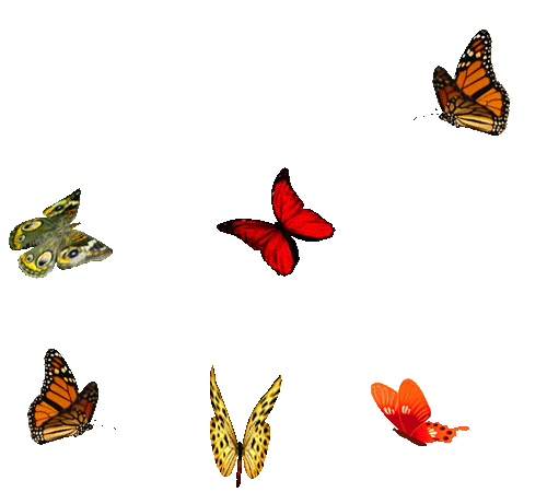 Мерцающие открытки с бабочками. Открытки с красивыми бабочками скачать беспла...