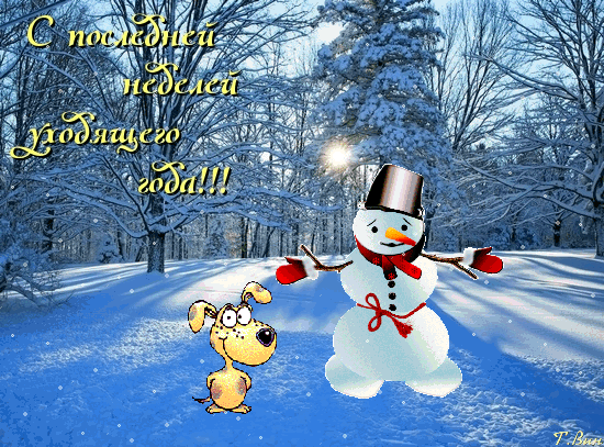 Забавные открытки с пожеланиями удачной недели. Открытки удачной недели скача...