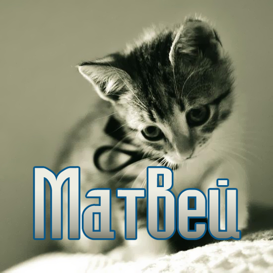 Открытки с именем Матвей gif. Открытки с именем Матвей с признаниями в любви.