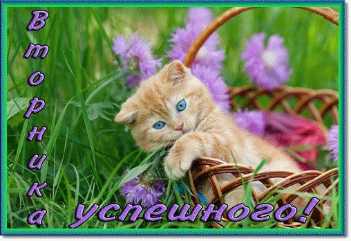 Позитивные открытки на вторник. Картинки про вторник скачать бесплатно.