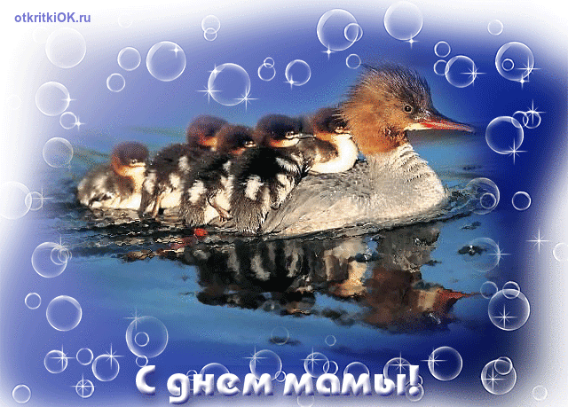 Поздравление с днем матери. Открытки на день матери скачать бесплатно.