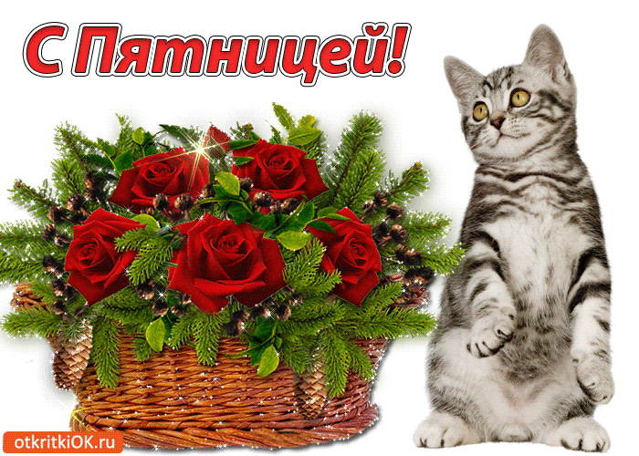 Прикольные открытки на пятницу. Открытки с пожеланиями на пятницу скачать бес...