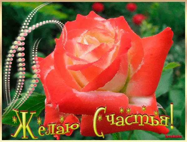 Скачать бесплатные открытки желаю счастья. Открытки желаю счастья с анимациями.