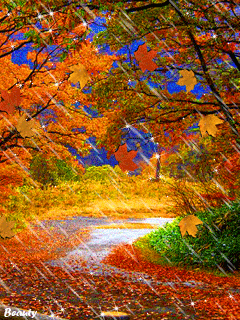 Оригинальные открытки с изображением осени. Открытки осень скачать бесплатно.