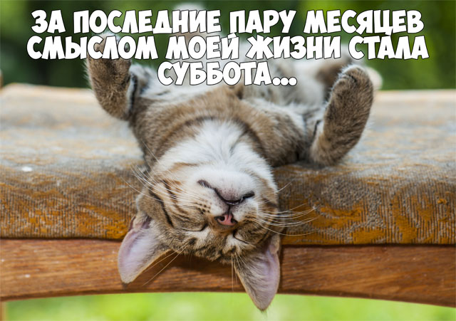 Интересные открытки на субботу. Веселые открытки на выходные.