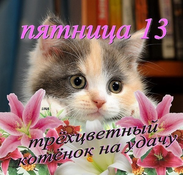 Разнообразные открытки на пятницу 13. Открытки с пятницей 13 скачать бесплатно.